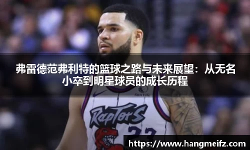 JN体育
